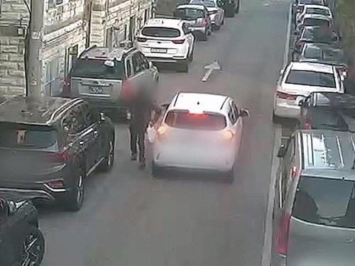 고양 골목길 상습 손목치기범[고양경찰서 제공]